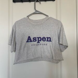 Brandy Melville Light Gray Aspen Crop Top